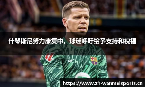 什琴斯尼努力康复中，球迷呼吁给予支持和祝福