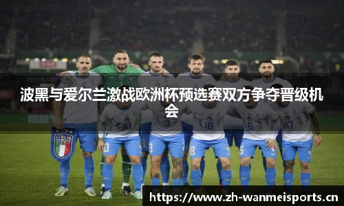 波黑与爱尔兰激战欧洲杯预选赛双方争夺晋级机会