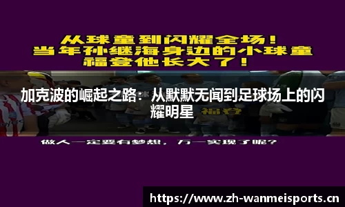 完美体育平台